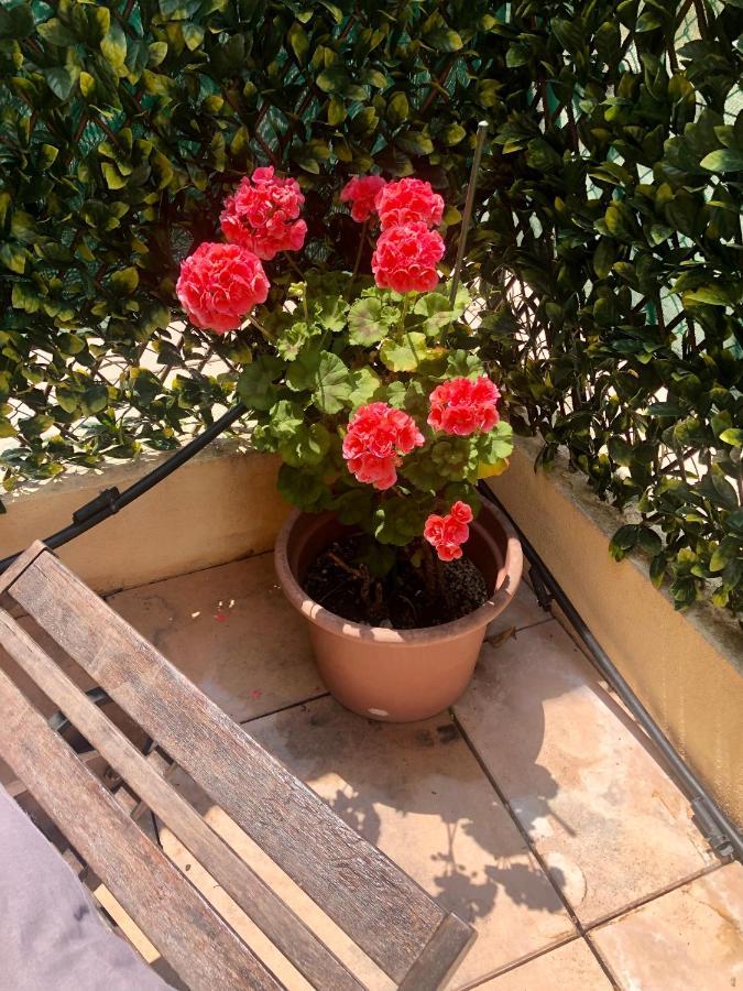 Mon Appart Avec Terrasse Et Piscine 로퀴에브륀캡마르탱 외부 사진